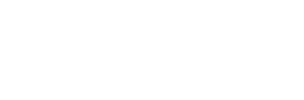 Assange DAO